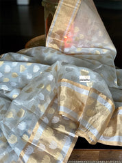Pure Chanderi Organza Silk - Off White Eknaliya Lotus Woven
